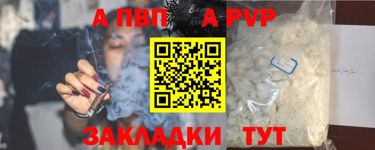 Альфа ПВП СК КРИС Зеленокумск