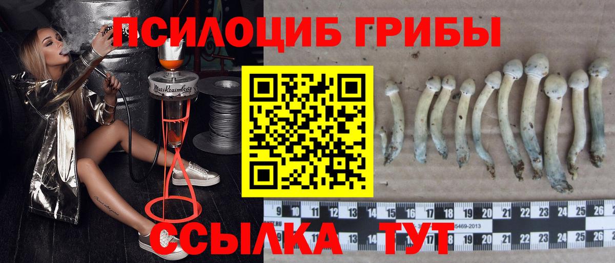 Псилоцибиновые грибы MAGIC MUSHROOMS Зеленокумск