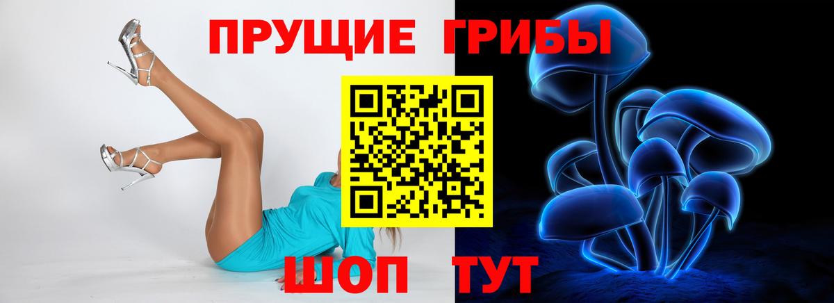 Зеленокумск  Галлюциногенные грибы ЛСД  Вход с VPN  Псилоцибиновые грибы мицелий 