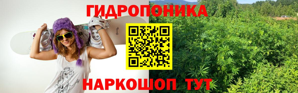 Шишки марихуана OG Kush  Вход с VPN  Бошки марихуана планчик  Зеленокумск  Конопля Ganja 